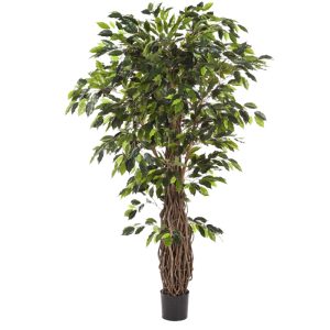 ficus 200cm zonder sierpot (kunst)